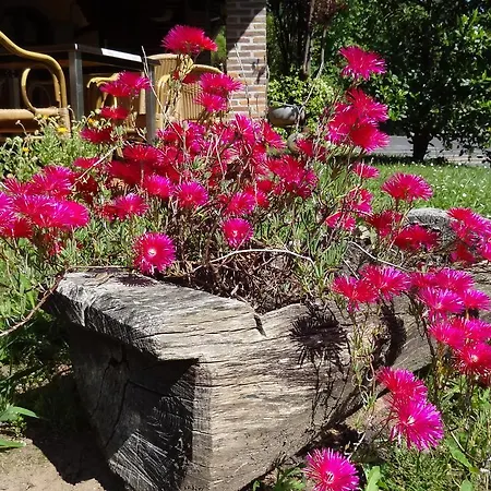 Отель El Bricial